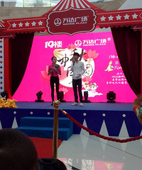 ����Ҫ������+�������