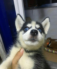 �������ˡ���ô������������û