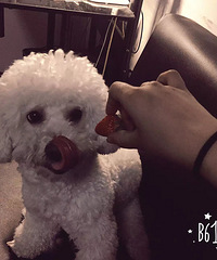 �������ˡ�+�úôΡ����������Ѿ����ܿ����ҵĿ�ˮ