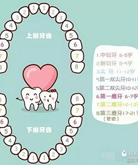 "宝宝换牙那些事!鼓励孩子勇敢摇动那颗松动的牙吧"