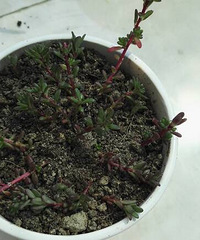 ����������������