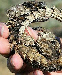 ���ǡ��й�������������ôQ����