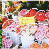 [�]���쳤�ٻ����ڼ��﷢��ʣ�����1�������й��