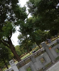 ��԰С����·���治��������