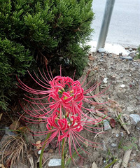 Ұ������