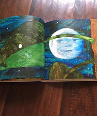 �汾�����ڡ��ö���ëë�桷