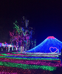 ����ƱҪ�ú�����