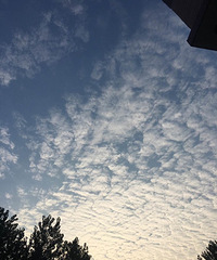 ���������ʱ�䣡Ů�ĵ�Ȼ����˹���