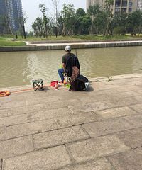 "昨天一天的渔获!大鲈鱼是拿筷子的这位仁兄"