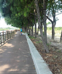 �����������̵�