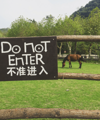 心念莫干山民宿好久了 我都这么大一人了爱上了小孩的玩意儿