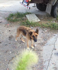 С��������һ��