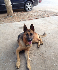 С��������һ��