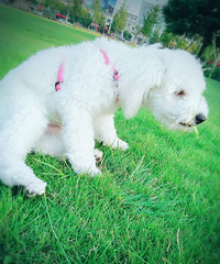 �ҵ�ë����