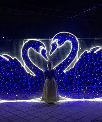 ���ƹ��㷴�������ƹ��µ�������