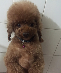 ���Ķ��ף�������������ҵ������Ǿܾ���Ҫ