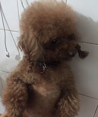 ���Ķ��ף�������������ҵ������Ǿܾ���Ҫ