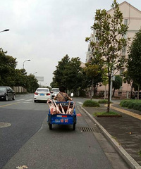 ������ı���