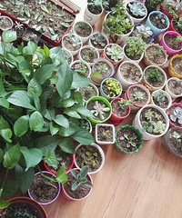 ��̨��ľ�С���