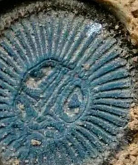 �Ŷ����ڳ���������ŵû����ɢ