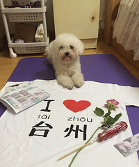 ��Ȯ��������ëë �󣡱���