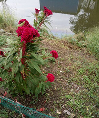 ����������2:�ɻ�