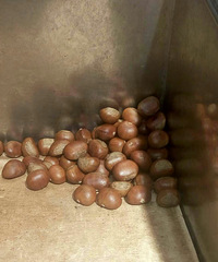 ������ ��������Ⱥ��������������������ܣ�