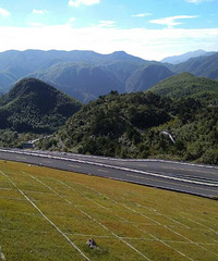 ���찲���Լ���