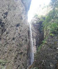 ����һ����