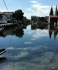 ��ɫ����ķ��ݣ�С�ź�ˮ�����ӵ����飡ϲ