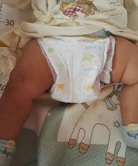 ���ơ����Ʋ��Գ�