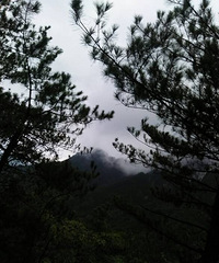 �������ı���