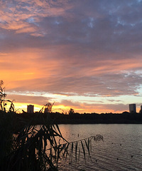 ����������ô������