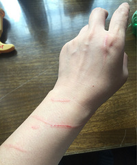 �����ơ�èץ��