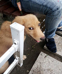 Ϭ����С����