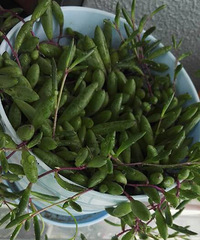 ���о�ϲ��С����ð�����ˣ��ȷ��顢������