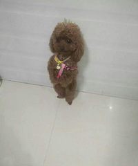 �����·�վ����ƤЦ���������Եľ�һ����