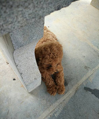 ת������´�Ĺ��