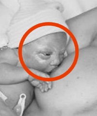 ���Ų����� ����ȫ��������ˣ�