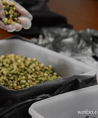 һ���ˮ��Ҫ��6000�飡����