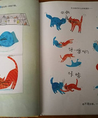 ���汾�����ڡ���è��è