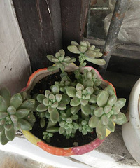 ���û��аɣ���֪����ʲô