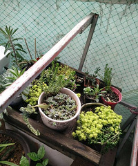 ʣ�µ�����