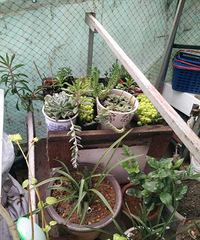 ʣ�µ�����