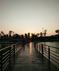 ͩ���˺�����ϼ