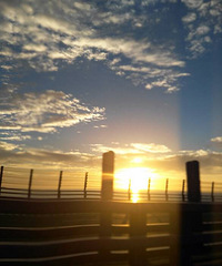 �����ĺ����ĺ�����