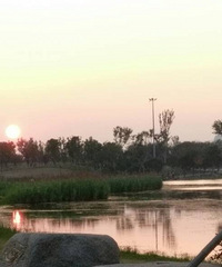 ͩ���˺�����ϼ