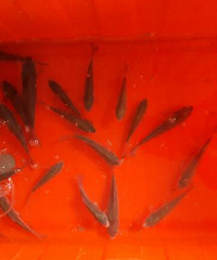 ף����19¥���տ���