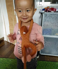 �����汦�������ڡ�����Ҫ����