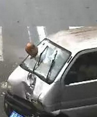 ��Ƶ̫���£����Ҳ�ϵ��ȫ����